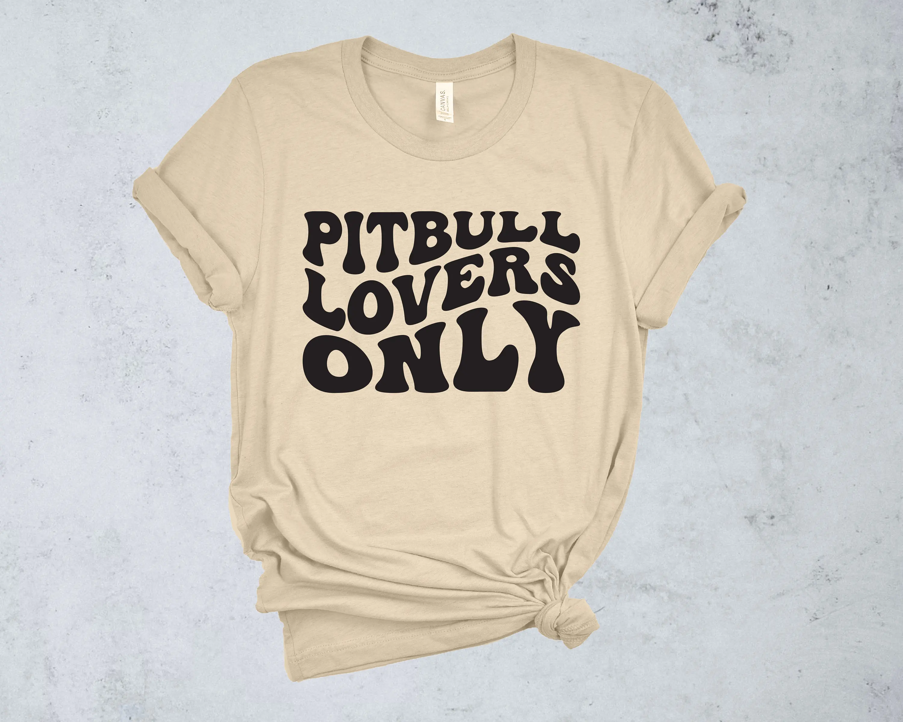 Pitbull Lovers Only T Shirt for Retro Pitty Groovy