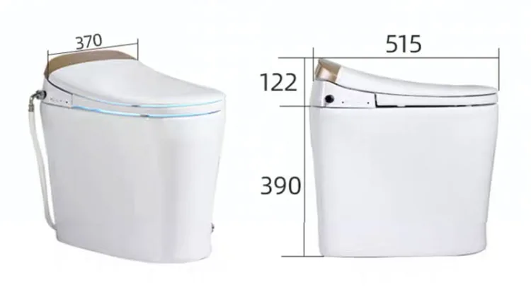 Deodorization Dual Nozzles Sanitary Ware Intelligent Smart Toilet