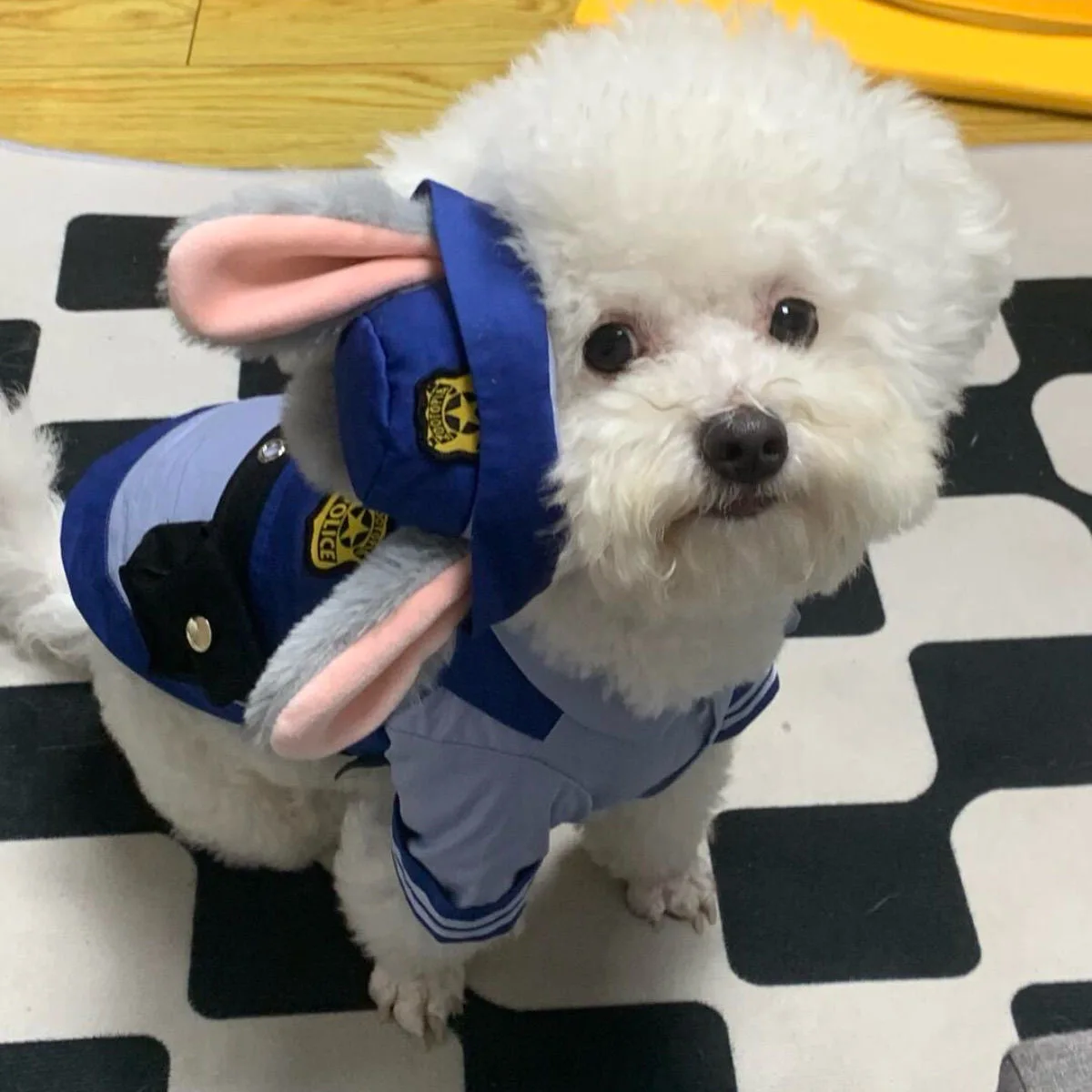 Dog Bunny Police Officer Costume Hat Sets Halloween Funny Cat Cosplay Pet Clothes Kawaii Rabbit Role Play Dogs Cat Supplies