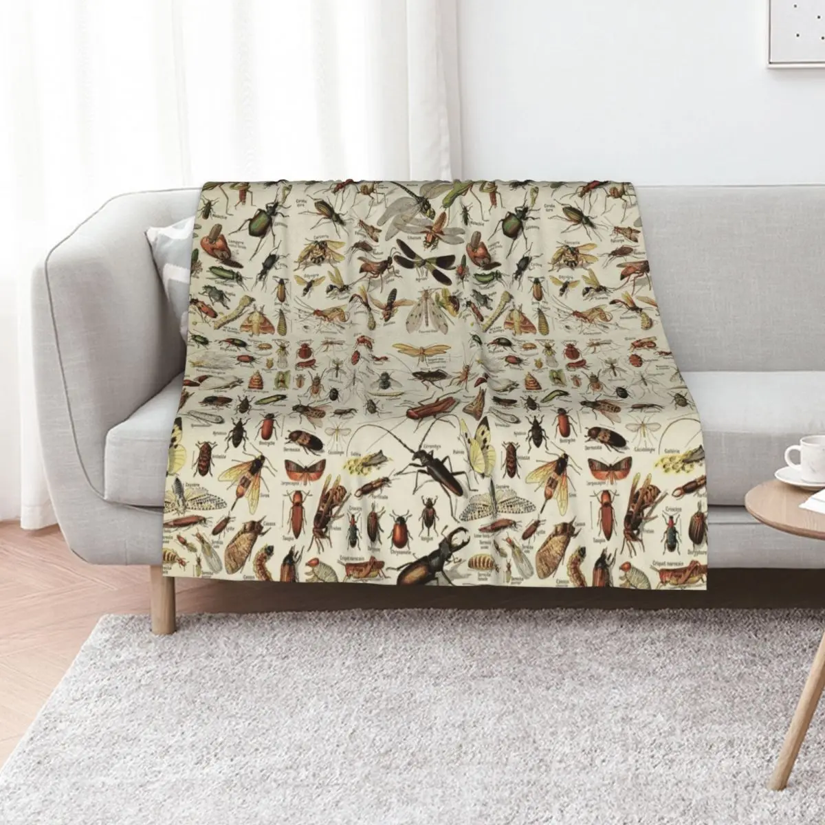 Insects Chart. Scientific Illustration, text in french Throw Blanket Quilt Thin Plaid Hairy halloween Comforter Blankets