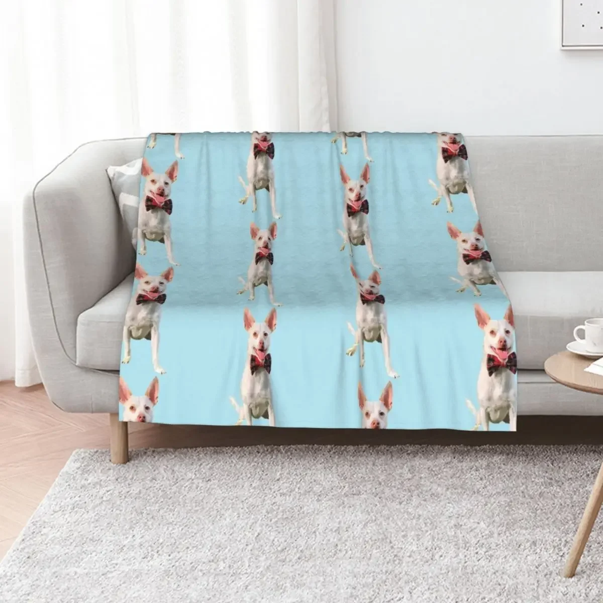 

Suave Dog Throw Blanket For Sofa Thin Luxury Designer Thermals For Travel halloween Blankets