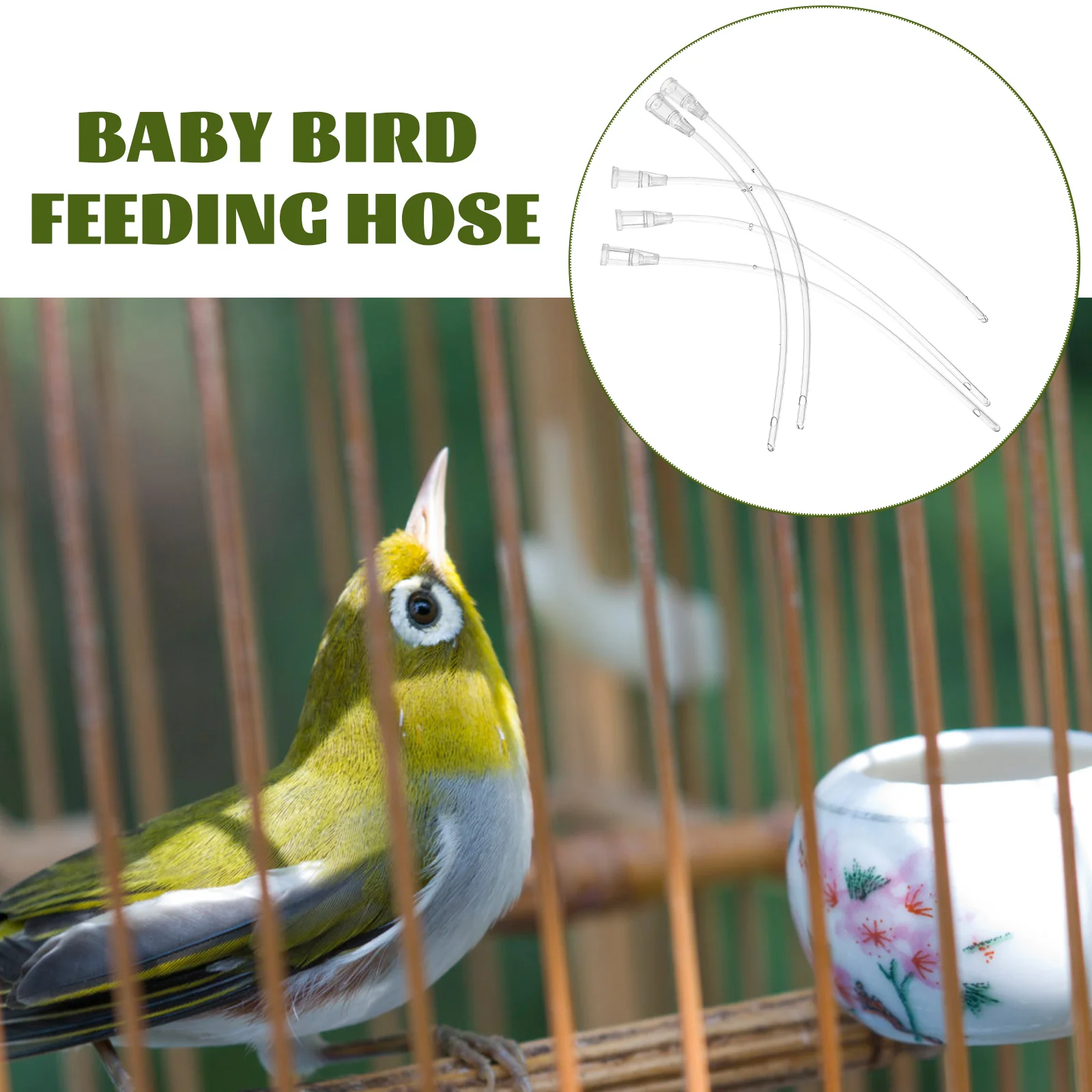 

5pcs Birds Feeding Device Durable Lightweight Transparent Hose For Newborn Parrot Young Birds Liquid Medicine Food Feeding Tool