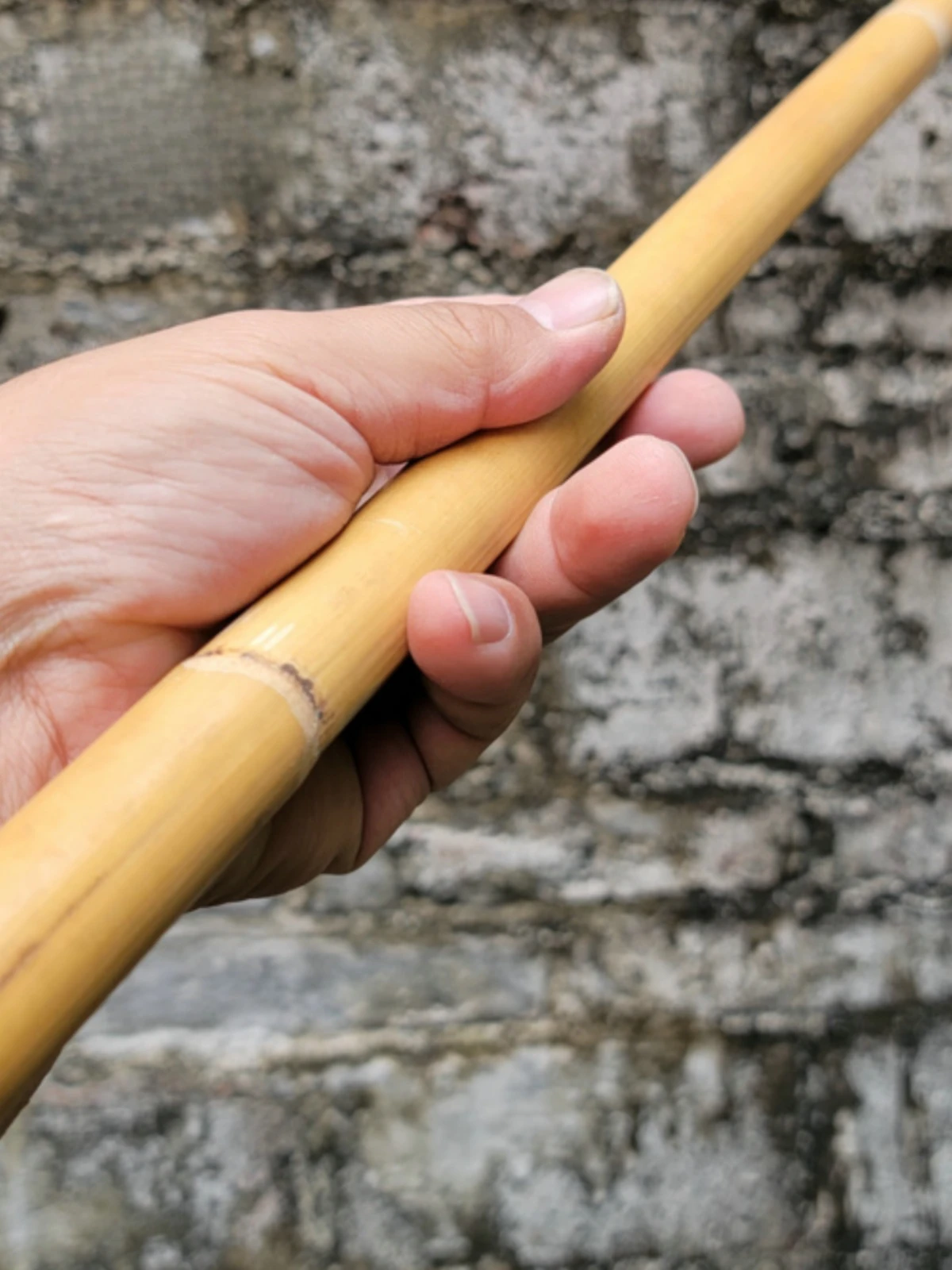 Natural Vine Wood Short Stick Philippine 【1PCS】