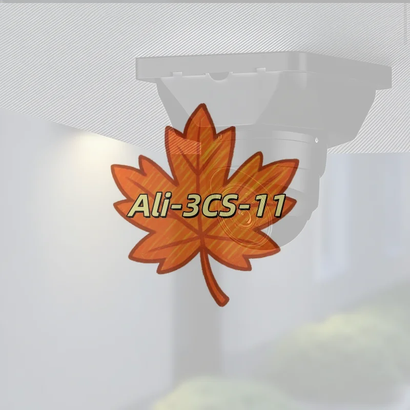 Weatherproof Securi…