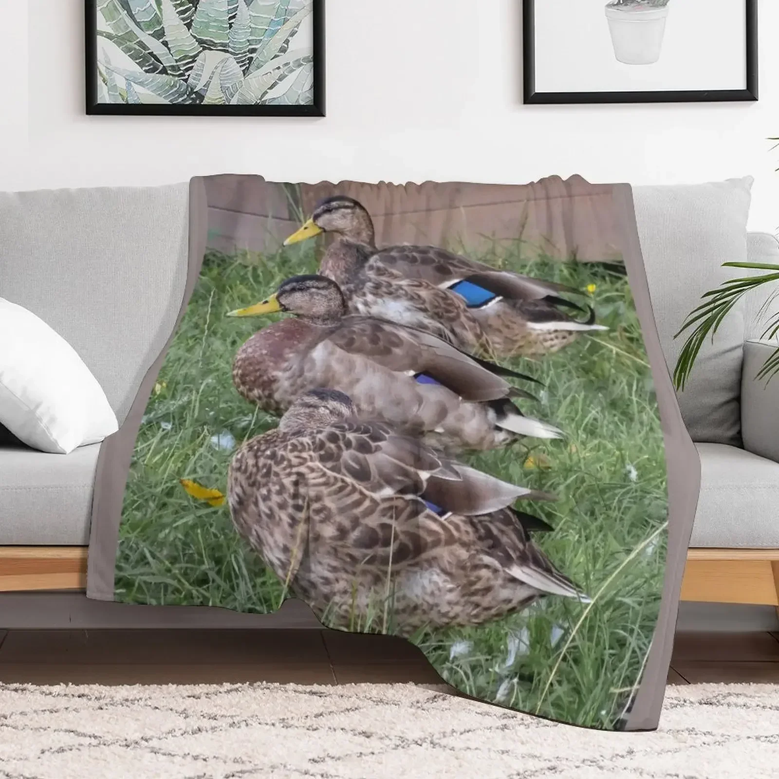 

Three in a row Throw Blanket wednesday Soft Plaid Blankets
