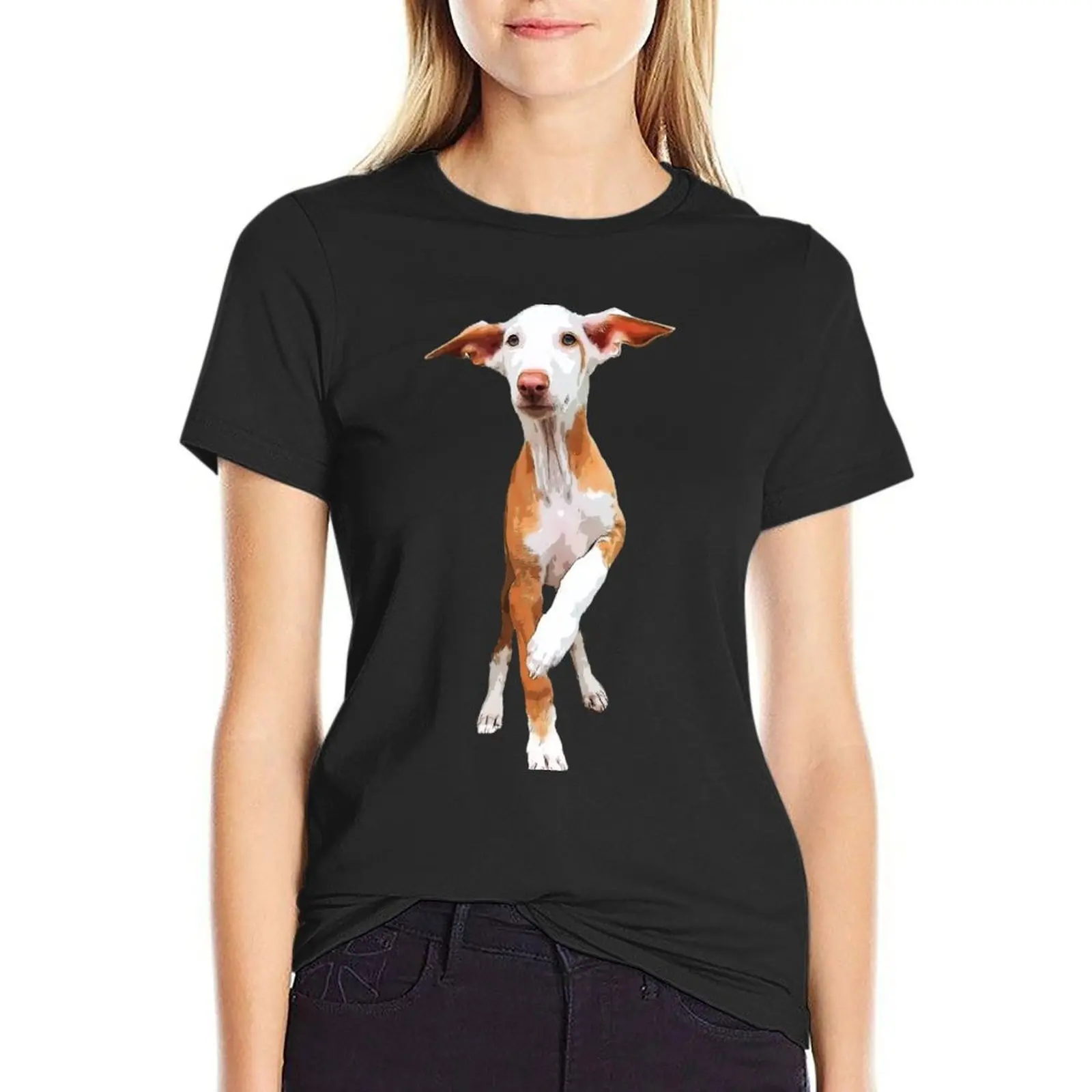 Podenco Dog Podenco Canario T-Shirt female tops quick-drying cute tops Women t shirt