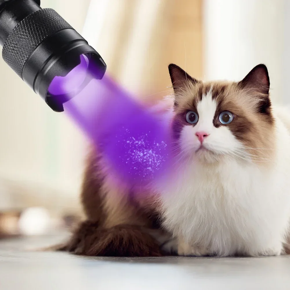 1/4 Uds linterna LED UV antorcha ultravioleta con zoom luces ultra violetas lámpara de inspección Detector de manchas de orina para mascotas luz 395/365nm