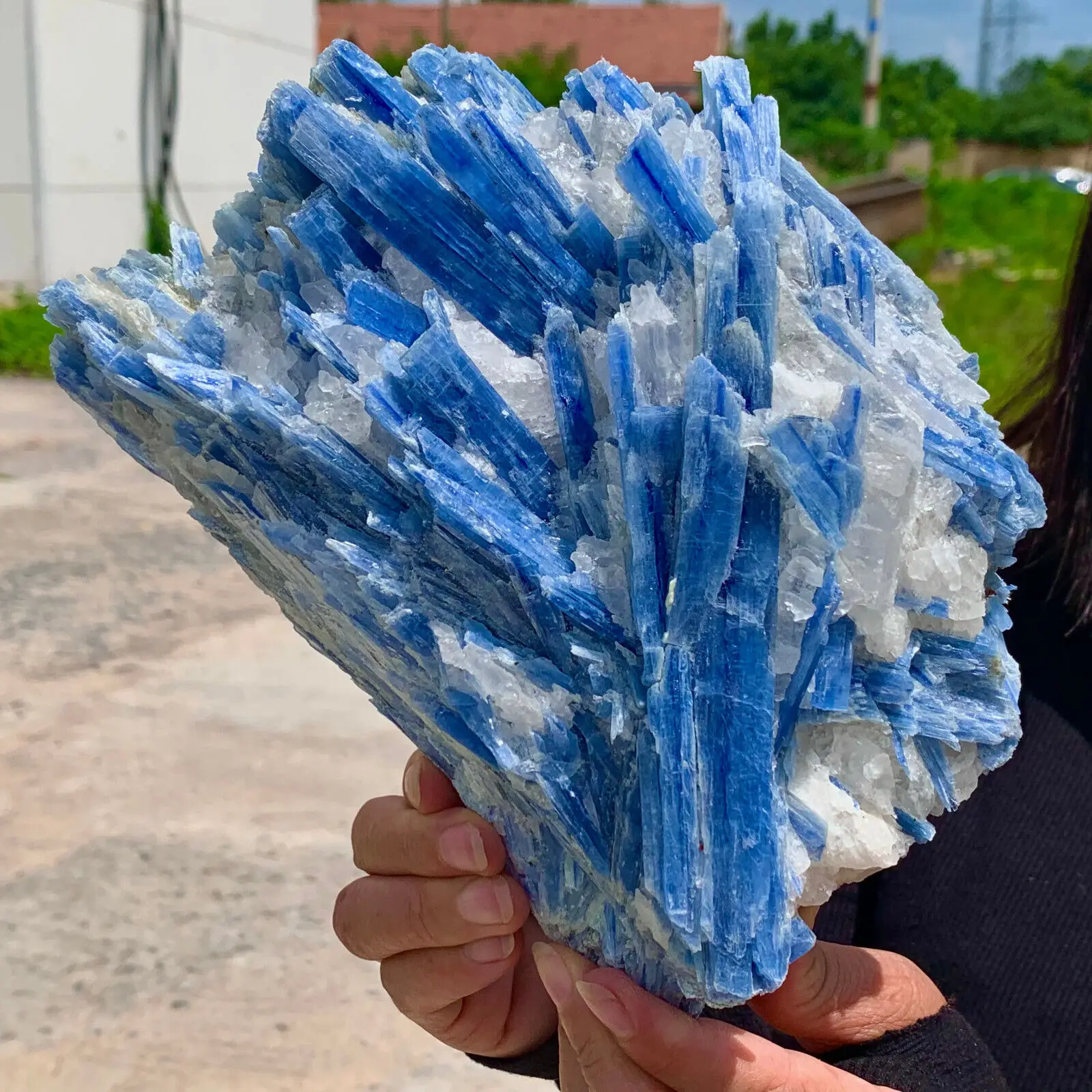 Natural beautiful Blue KYANITE with Quartz Crystal Specimen Rough