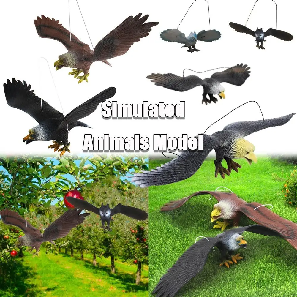 

Simulated Eagle Model Animal Statue Realistic Education toys Eagle Toy Plastic Simulation animals toy child Hanging Bird Decor