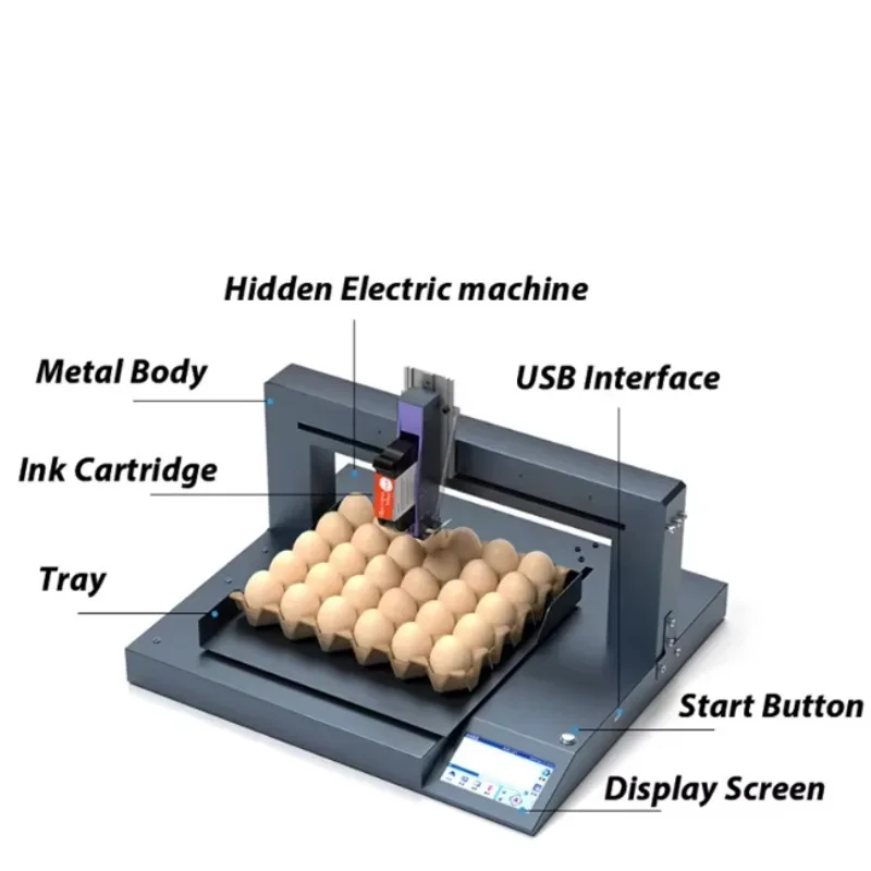 Touch Screen High Speed Automatic Inkjet Code Printer for Expiry Dates Logos Marks on Eggs