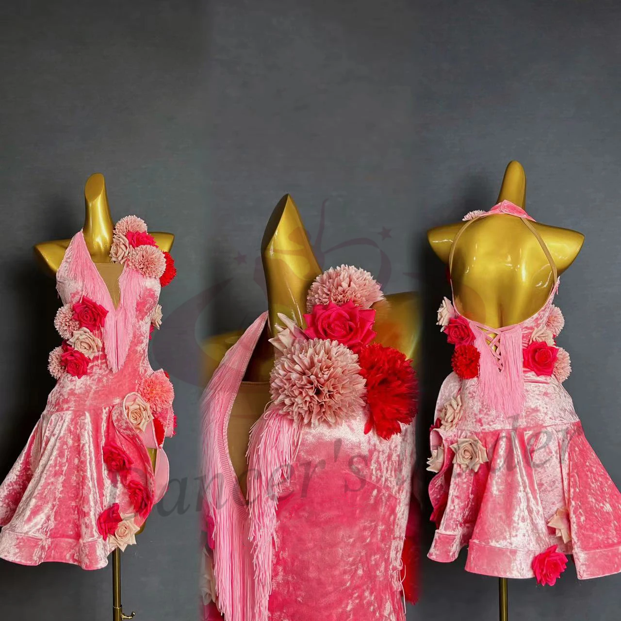 Latin Dance Dress H… - image