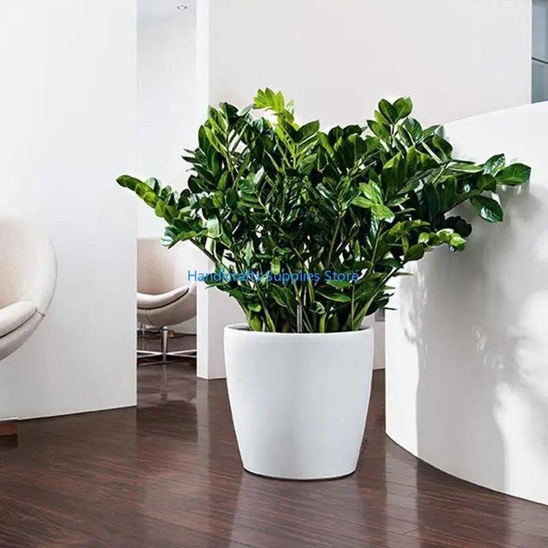 R1WA PP 6x5 Watering Planters Flower Pots Indoor with Water Level Indicators Garden Modern Decorative Planter Pot for All