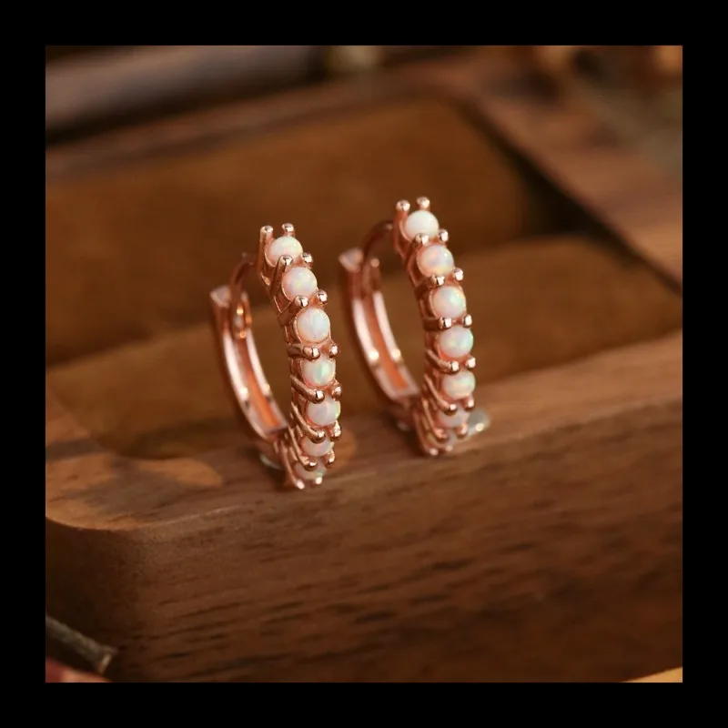 S925 فضة بسيط الأزياء دائرة الماس الأقراط الراقية مزاجه تنوعا الأقراط والمجوهرات #1