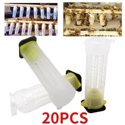 20PCS Queen cage rearing cover catcher queen plastic cells bees box cages bees tool abelhas apiculture equipement protection