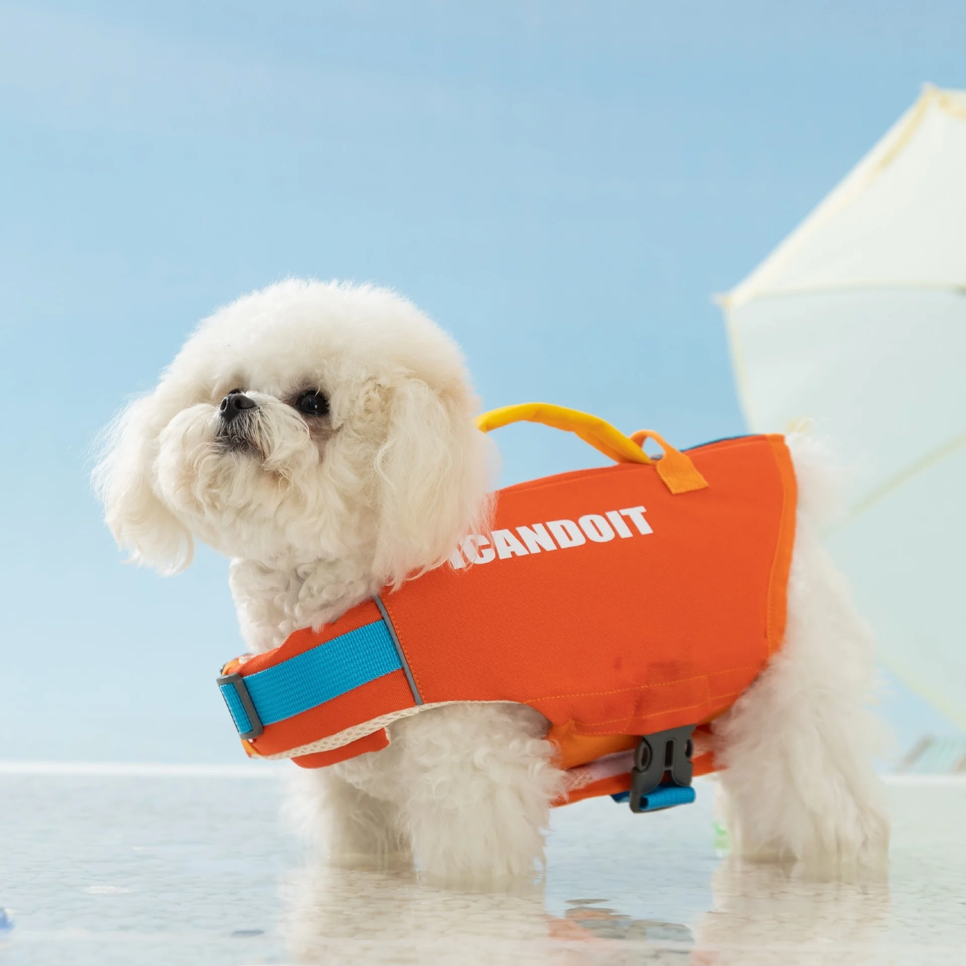 

Летний спасательный жилет для собак: костюм для плавания и аксессуары для Тедди, Бишон, Померанского шпица, Биггл, Голден ретривер, Бордер-колли, Бернезерна, Мопса и других пород.