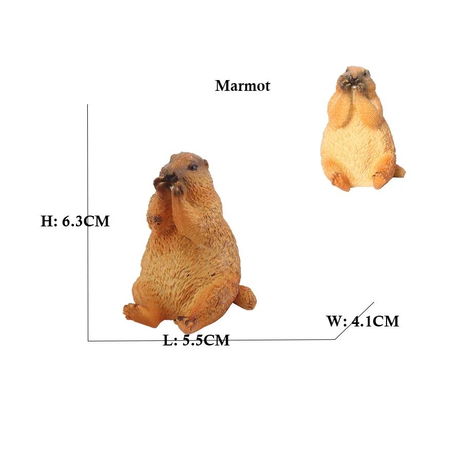 カピバラ カピバラ リス マーモット プラスチック動物置物 アクションフィギュア、子供のお気に入りの野生動物モデル、子供用の収集価値のあるおもちゃ