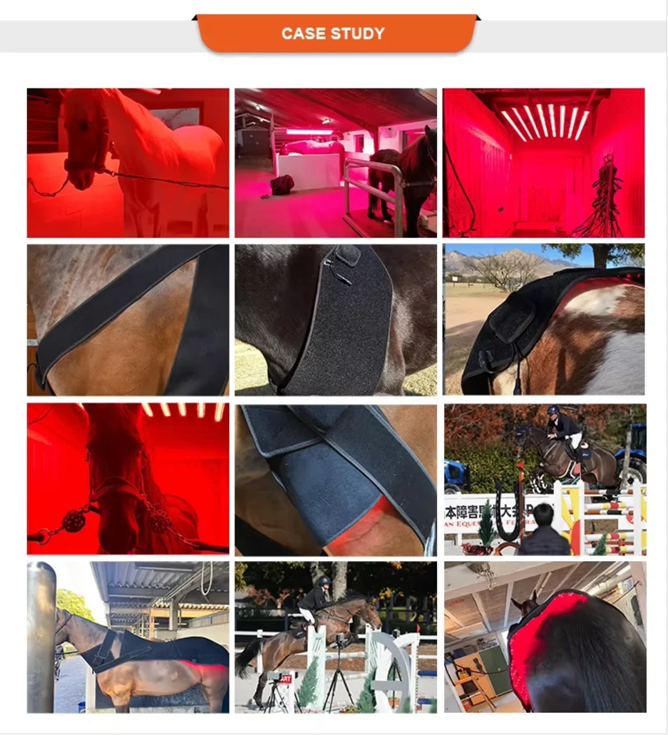 High Quality 2088pcs LED Equestrian Red Light Therapy Pad Horse Rug Equine Light Therapy Blanket For Whole Body
