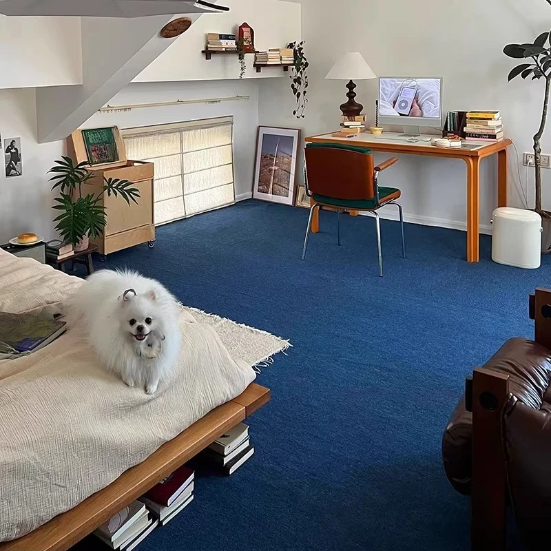 

Blue Carpet Office Commercial Studio Photo Mat