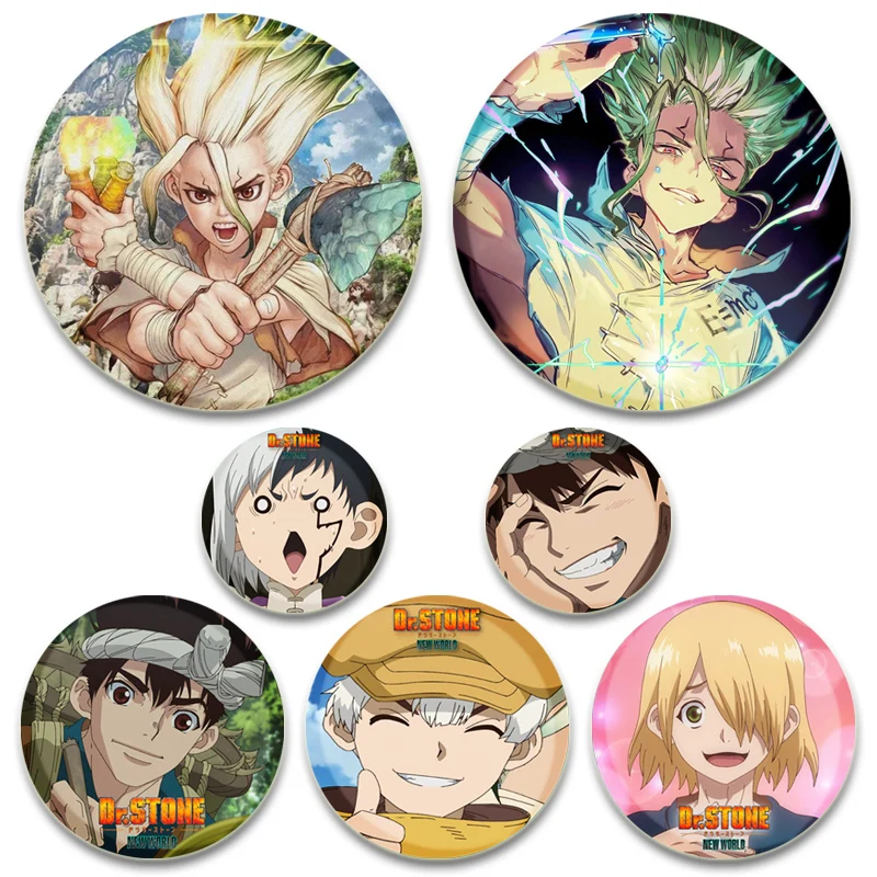 Anime Dr. Stone Pins Characters Gen Asagiri Chrome Senkuu Ishigami Kohakulapel Badge Snap in Design Round Cartoon Brooches