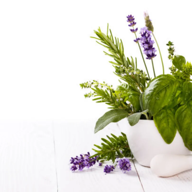 Servo Vaste Zetel voor WLtoys 1/24 244016 LOSI 1/24 Micro-B RC Auto Metalen Upgrade OP Accessoires Onderdelen