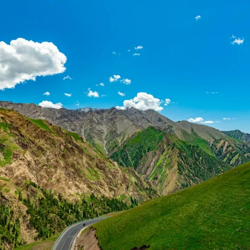 Jx Servo PDI-HV5915…