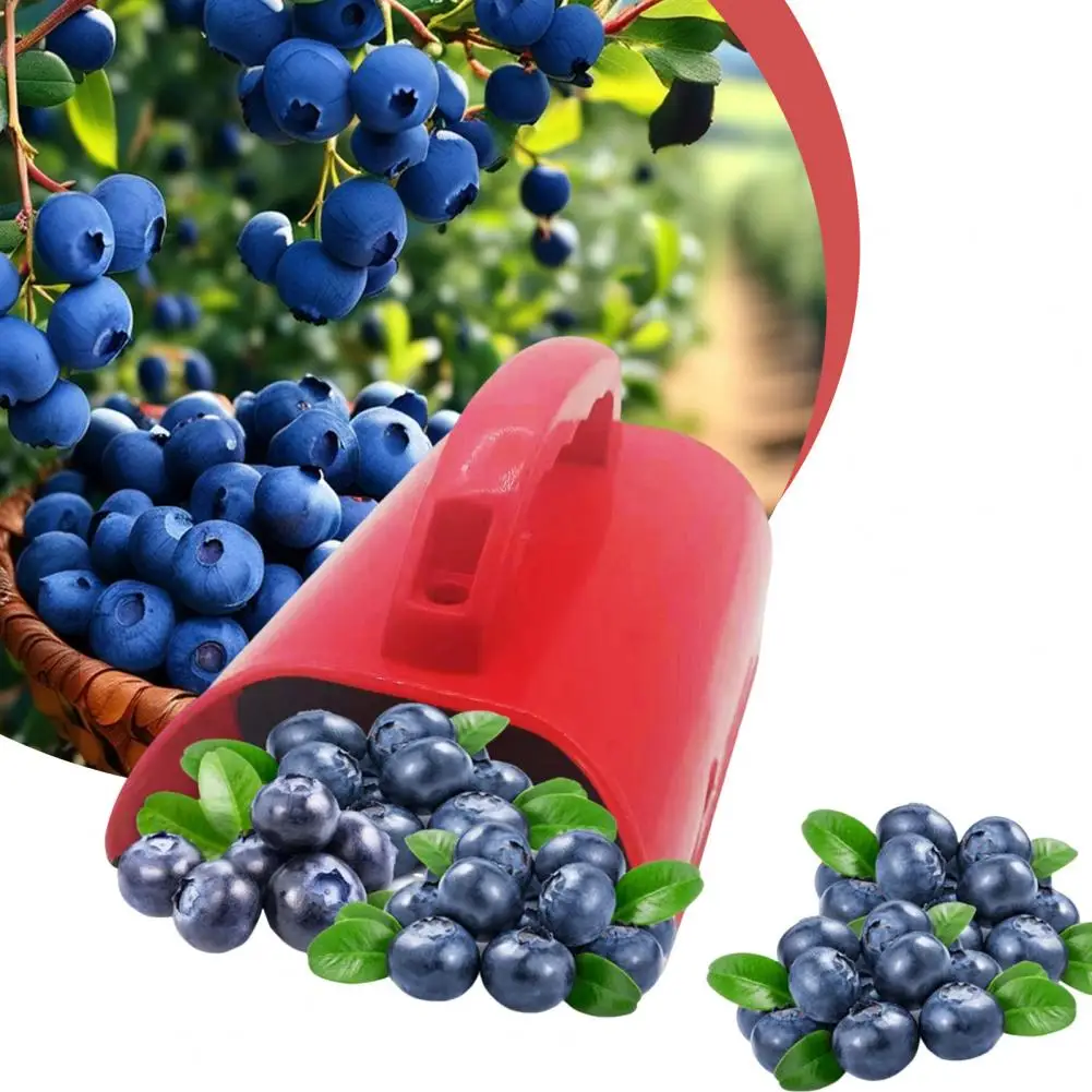 Portable Berry Picker Blueberry Collection Convenient Handle Picking Tool Greenhouse Garden Farm Fruit Harvester With Comb Scoop