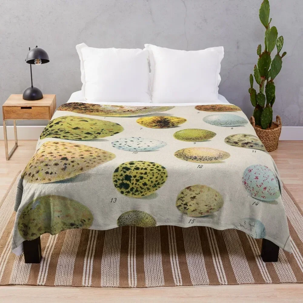Vintage french biology illustration - Quillet - Oeufs d'oiseaux Throw Blanket