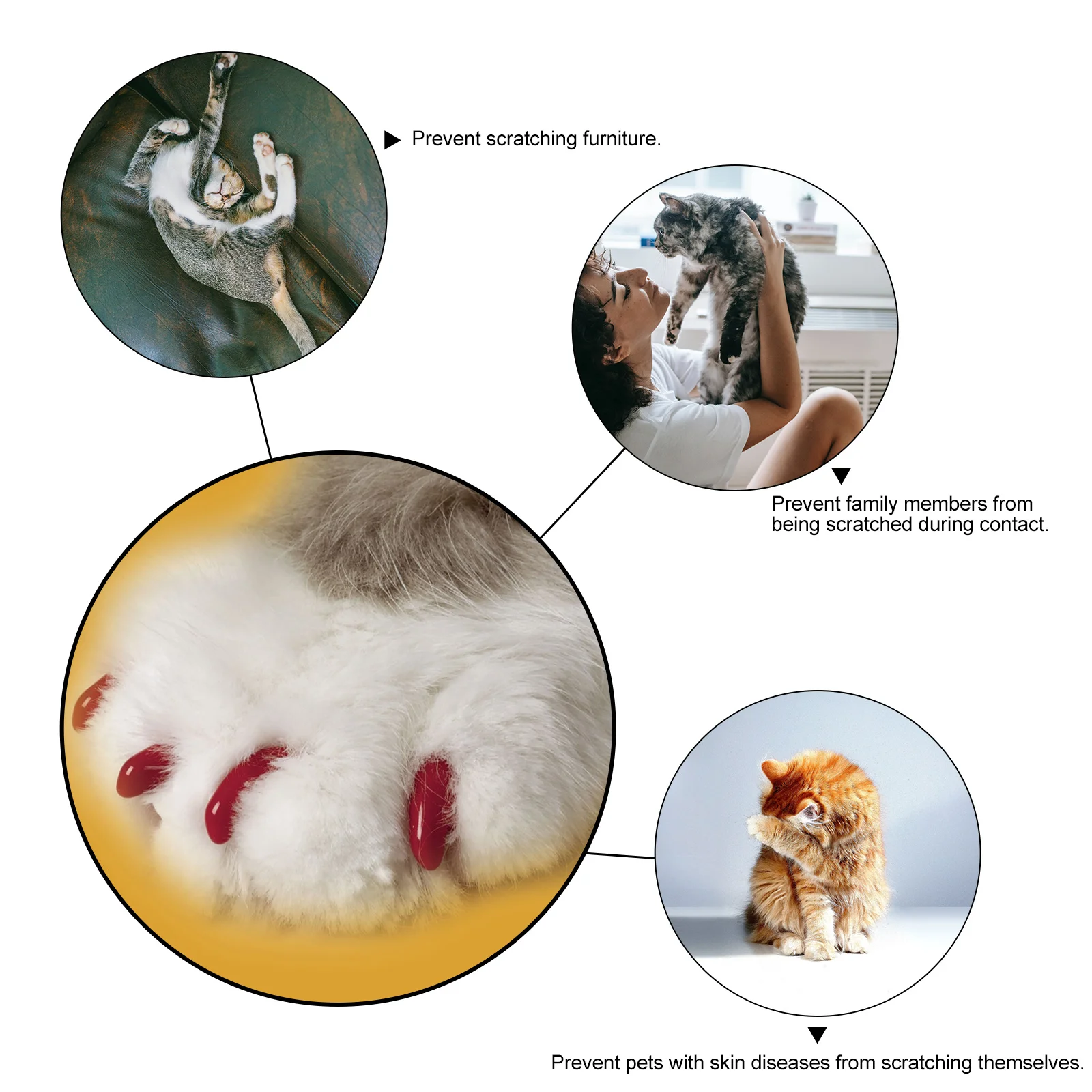 

160Pcs Cat Nail Caps Premium Silicone Colorful Protect Pets Prevent Scratching Furniture Pet Claw Covers Kitten Nail Cover