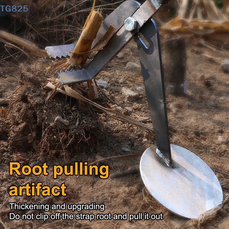 【AN】【AN】Attrezzo da Giardino P - Plant Parent Tools recensione e prezzo