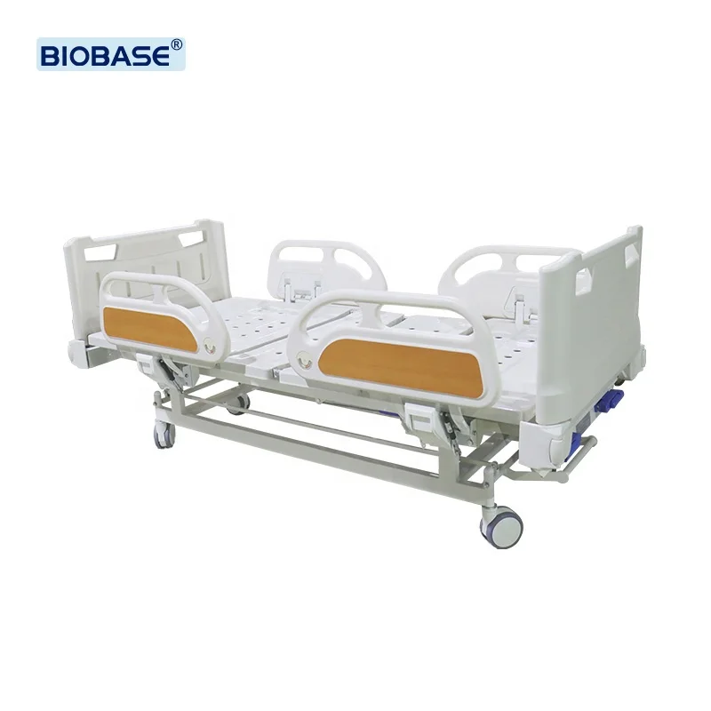 Hospital Beds Punching Double-Crank Electric Nursing Bed with Toilet Hospitalization Bed Medical Equipment