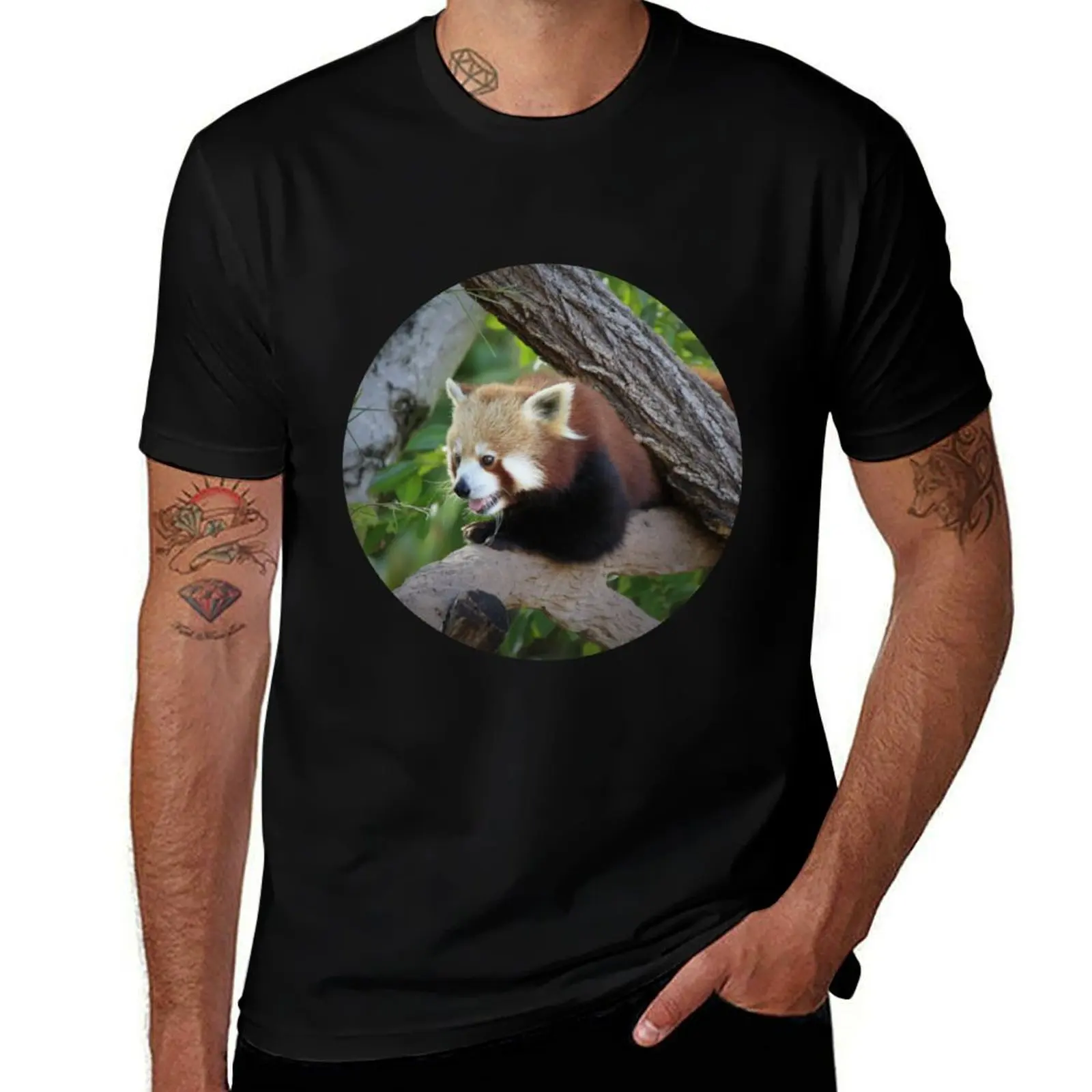 

Cheeky Red Panda T-Shirt kawaii clothes graphic tee shirt t shirt men