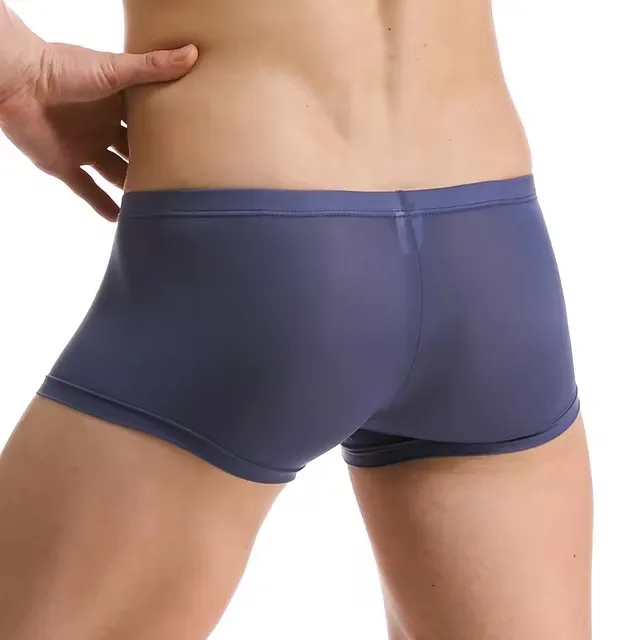 Men Panties Ice Silk Boxers Sexy Underwear Ultra-thin Boxer Shorts See Through Male Underpants Boxershorts