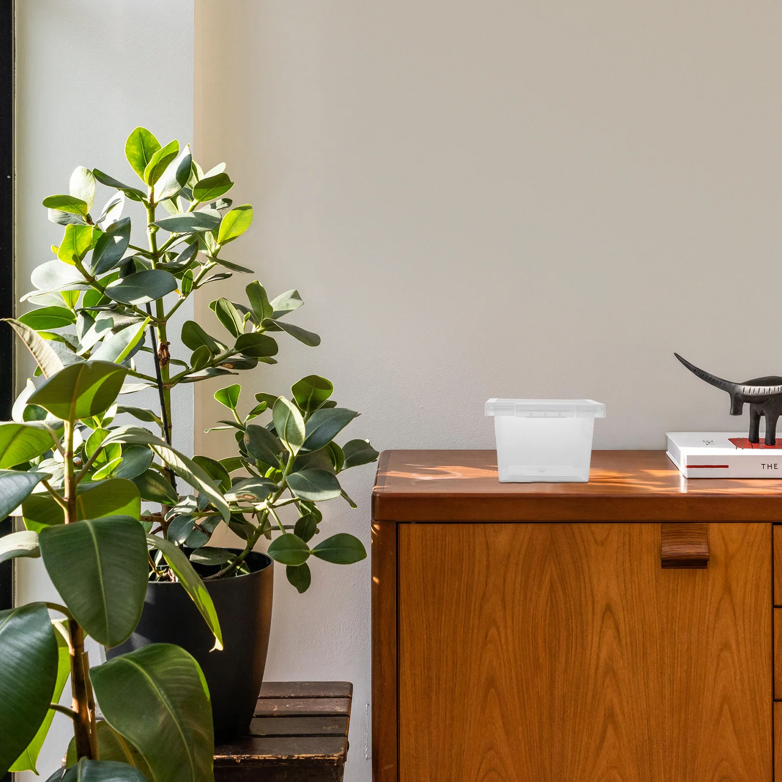 100Pcs Insect Breeding Boxes Transparent Reptile Cage Feeding Boxes Spider Lizard Cricket Cage Tank Transparent Feeding Box