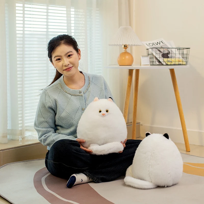 الجملة الأبيض الفارسي القط لينة محشوة ألعاب من القطيفة لطيف الحيوان بلوشي دمية أريكة وسادة المعانقة وسادة الاطفال الهدايا الحيوانات الأليفة هريرة