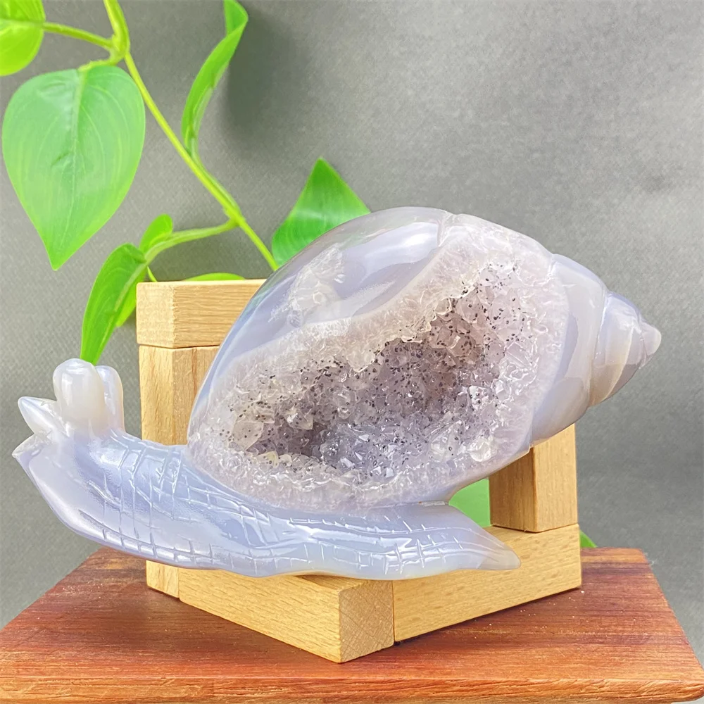 

Natural Gemstone Carving Stone, Agate Mollusc, Snail, Druzy Quartz Geode Energy Home Decorations Reiki Healing