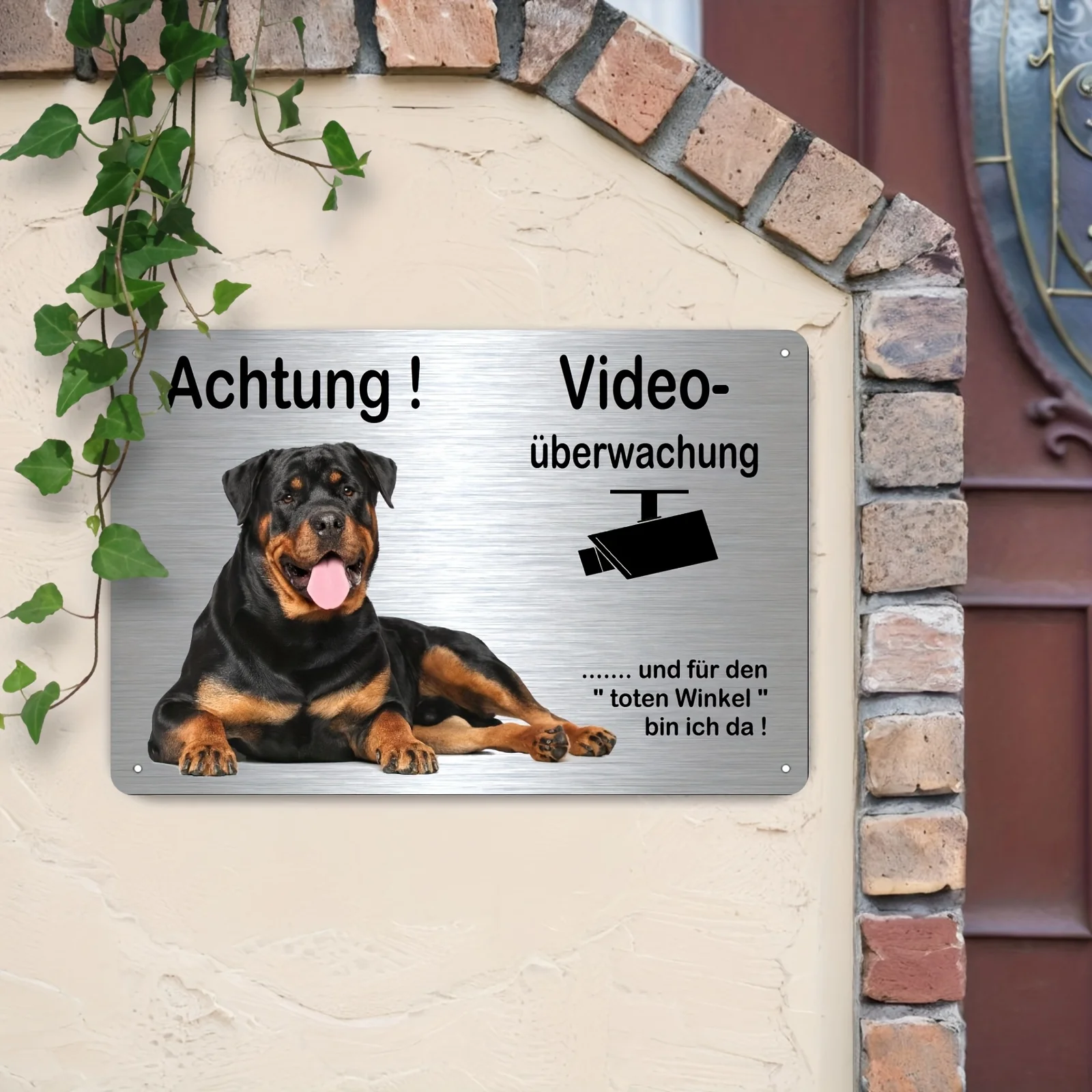 2D Flat, 1pc Rottweiler Dog Security Warning Metal Sign - Outdoor Wall Art with Video Surveillance Design, 20x30cm/8x12in Unfram