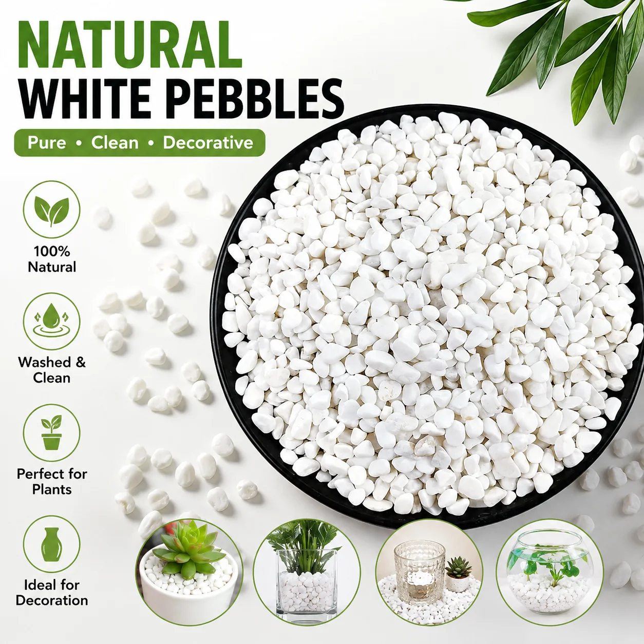 Aquarium Sand White - Doğal Beyaz Çakıl Taşları, Bitkiler, Akvaryum,