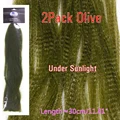 2Pack Olive