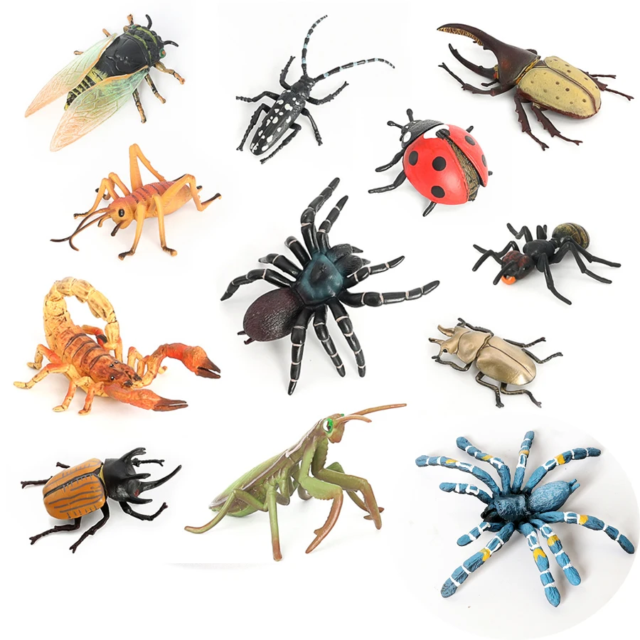 Figuras realistas de insectos y animales, escarabajo poniente, Maratus Volans, libélula, Mantis, Caracol, juguetes educativos para decoración de colección