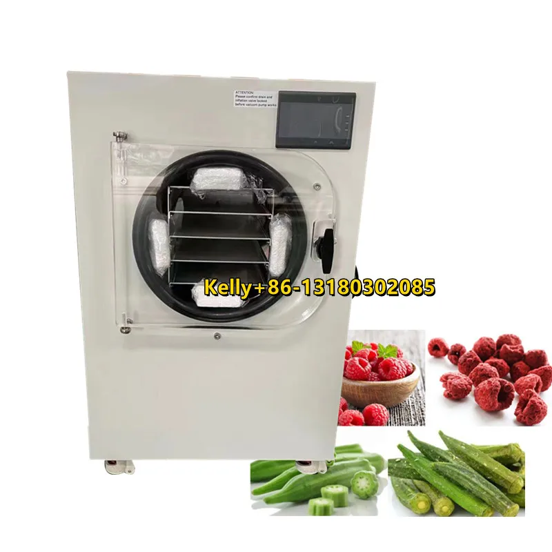 Mini Food Dried Milk Coffee Powder Freeze Dryer Strawberry Blueberry Fruit Vegetable Vacuum Freezing Drying Machine For Home Use