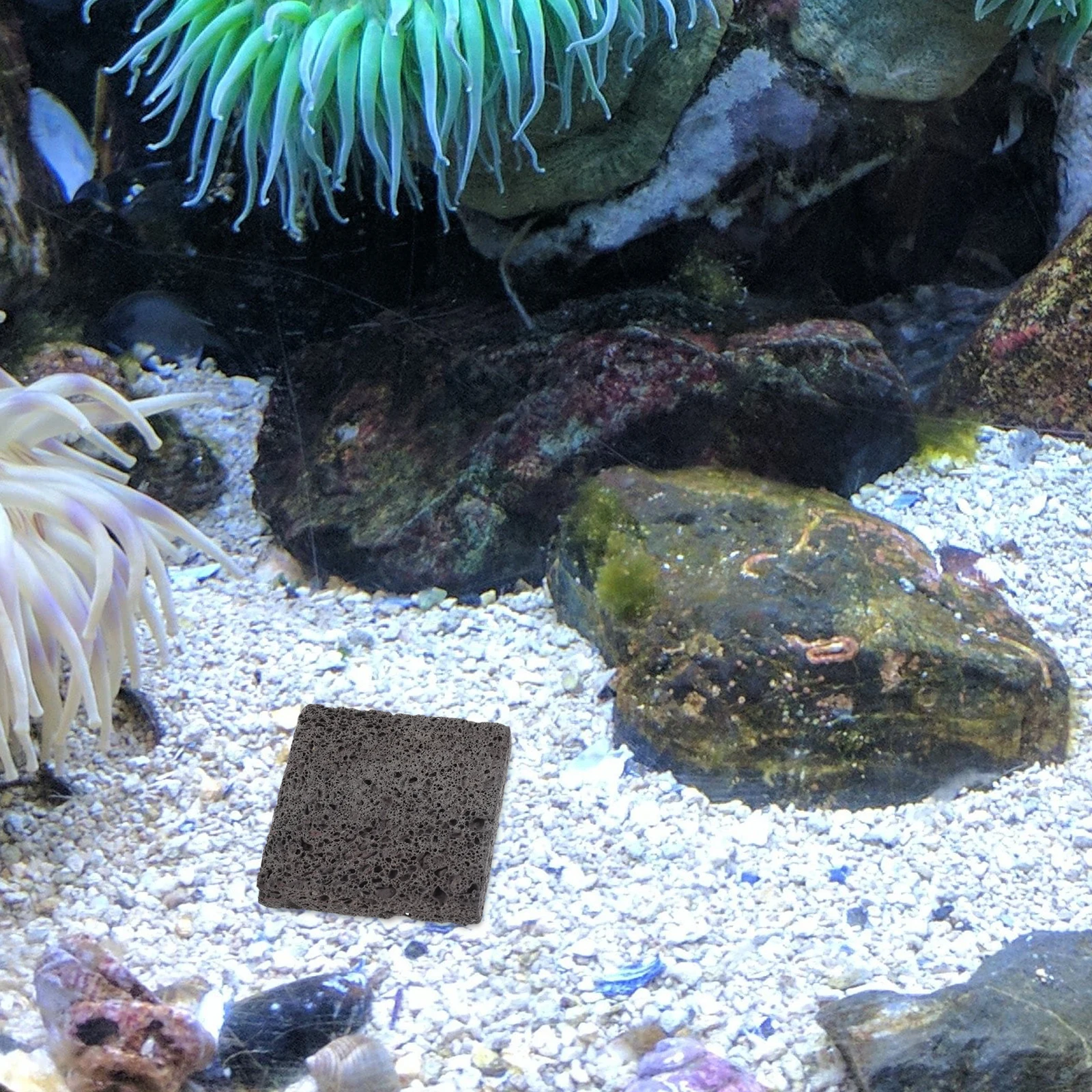 

3Pcs Natural Aquarium Rocks for Betta Fish Tank Accessories Lava Stones Rapid Moss Growth Water Quality Improvement