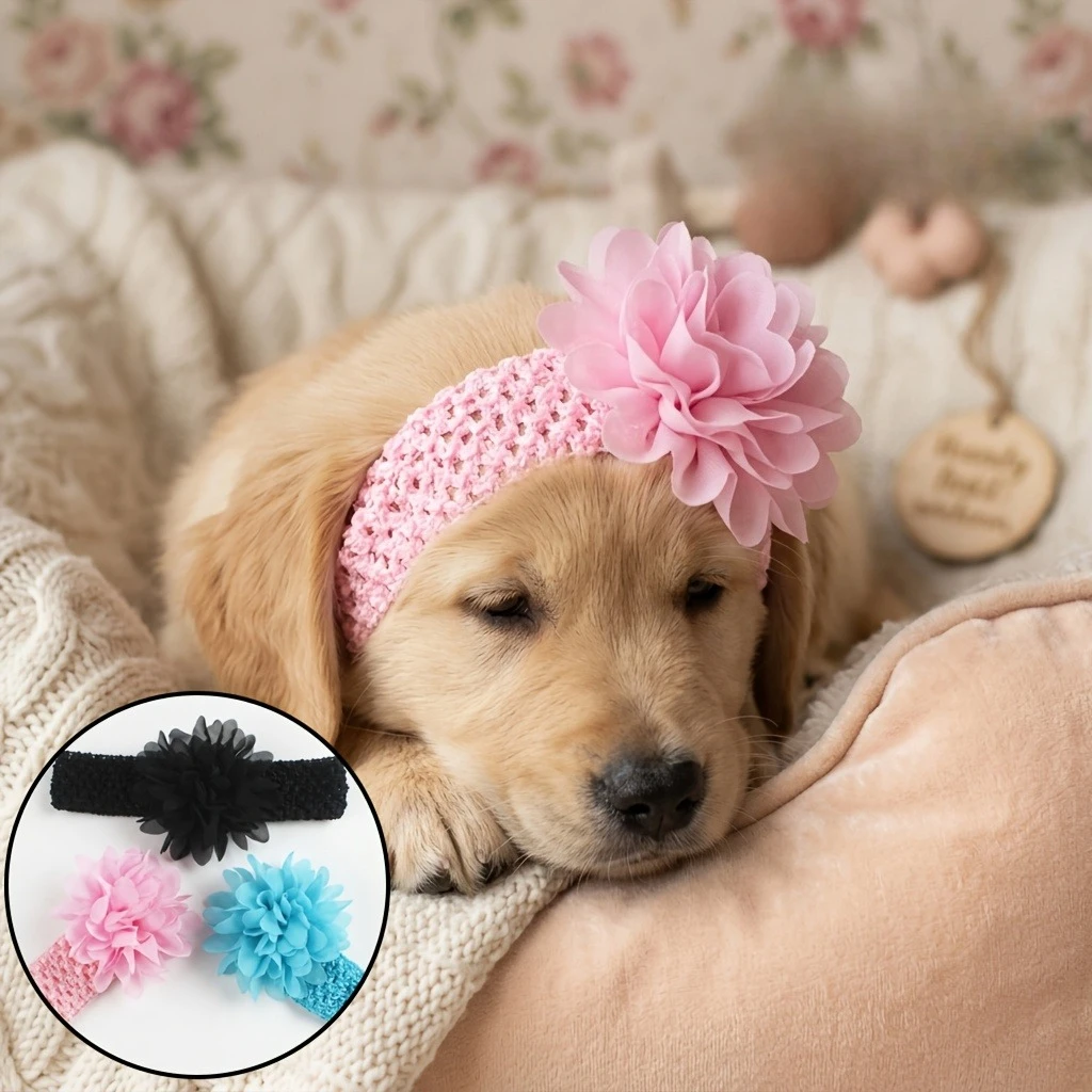 1Pc Trendy European And American Cute Pet Pointed Flower Hair Additions, Adorable Headbands for Dogs And Cats with Hollow Design