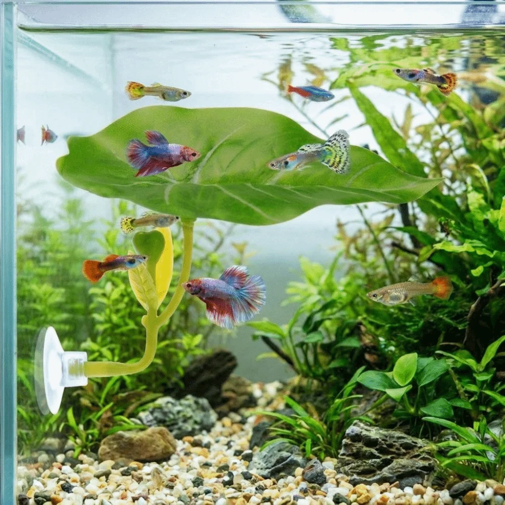 Simulated Lotus Leaves Fighting Fish Resting Leaves with Suction Cup Artificial Betta Fish Floating Bed Fake Plant Plastic