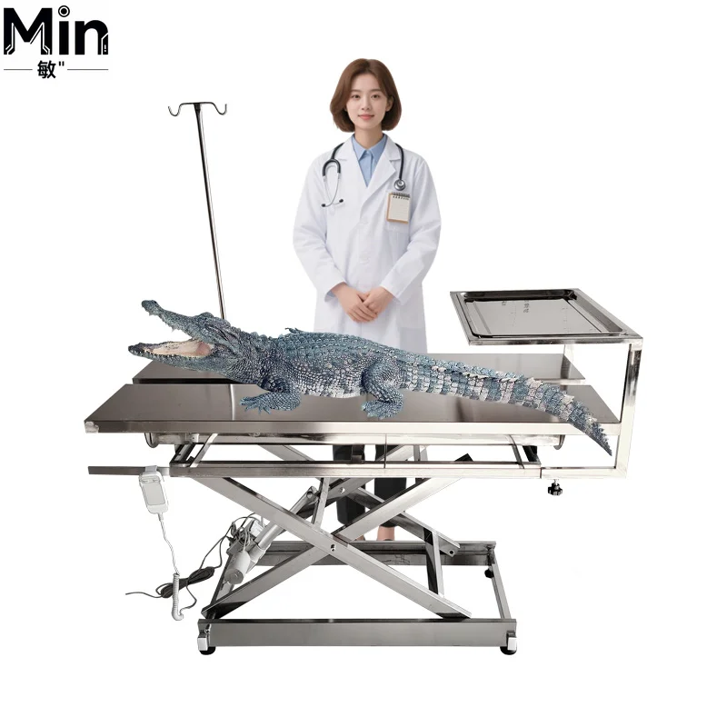 

Stainless Steel Lifting Veterinary Operating V-type Pet Exam
