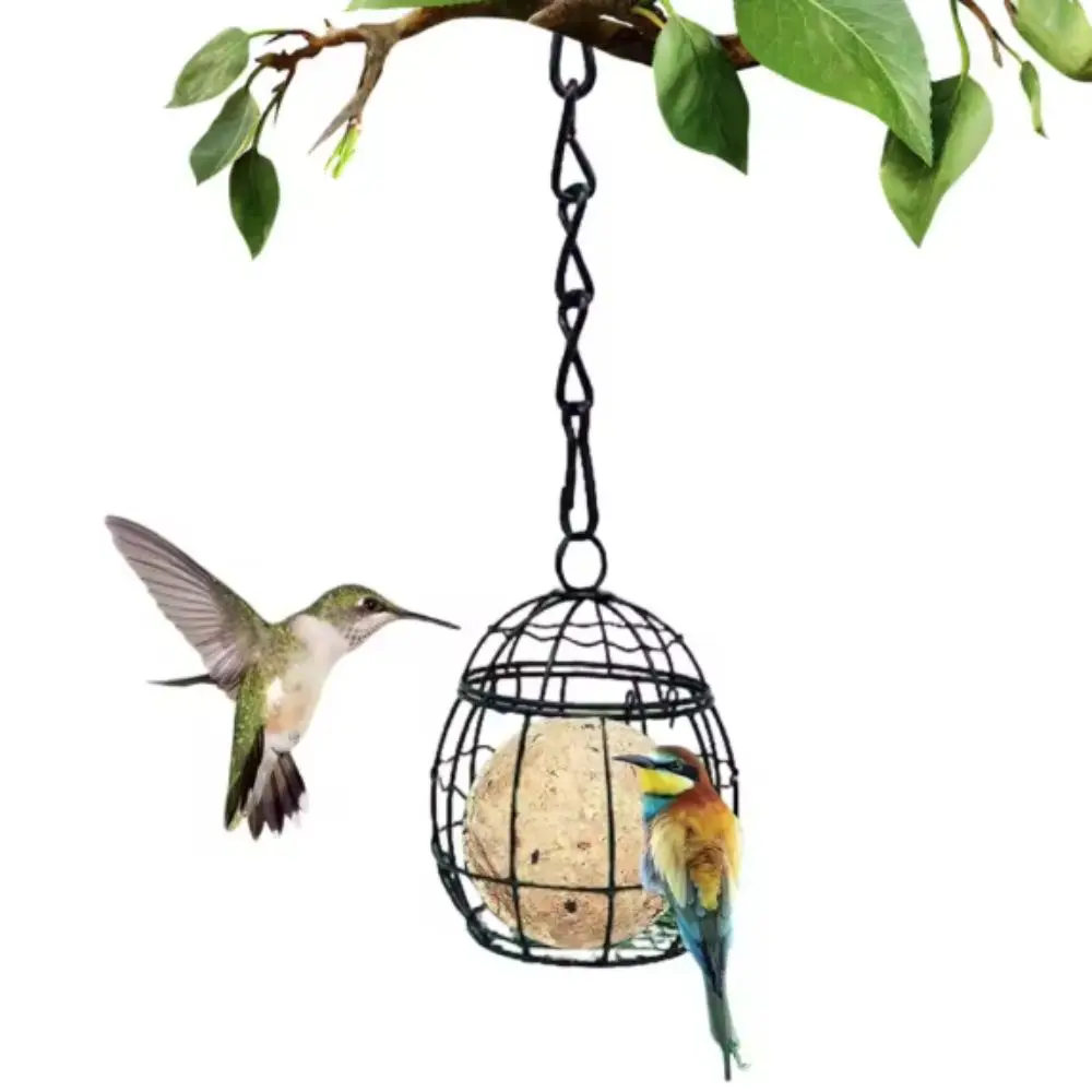 Iron Hanging Bird Feeder Squirrel Proof with Hook Chain Bird Feeding Wire Cage Mesh Bite Resistant Hanging Bird Food Station