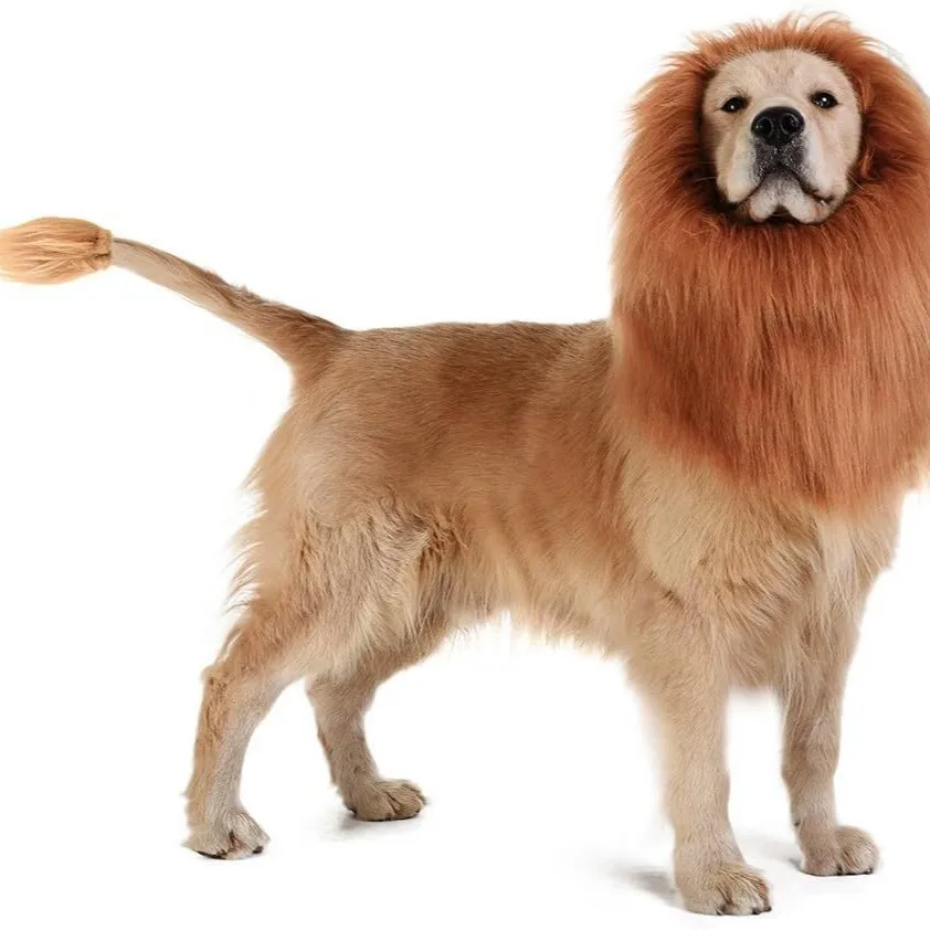Lustige Haustier-Löwenmähne-Perücke mit Ohren, Hunde- und Katzen-Cosplay-Kostüm, Löwenkönig-Verkleidung, Kopfbedeckung, Halloween-Party, Foto-Requisiten – Detail 3