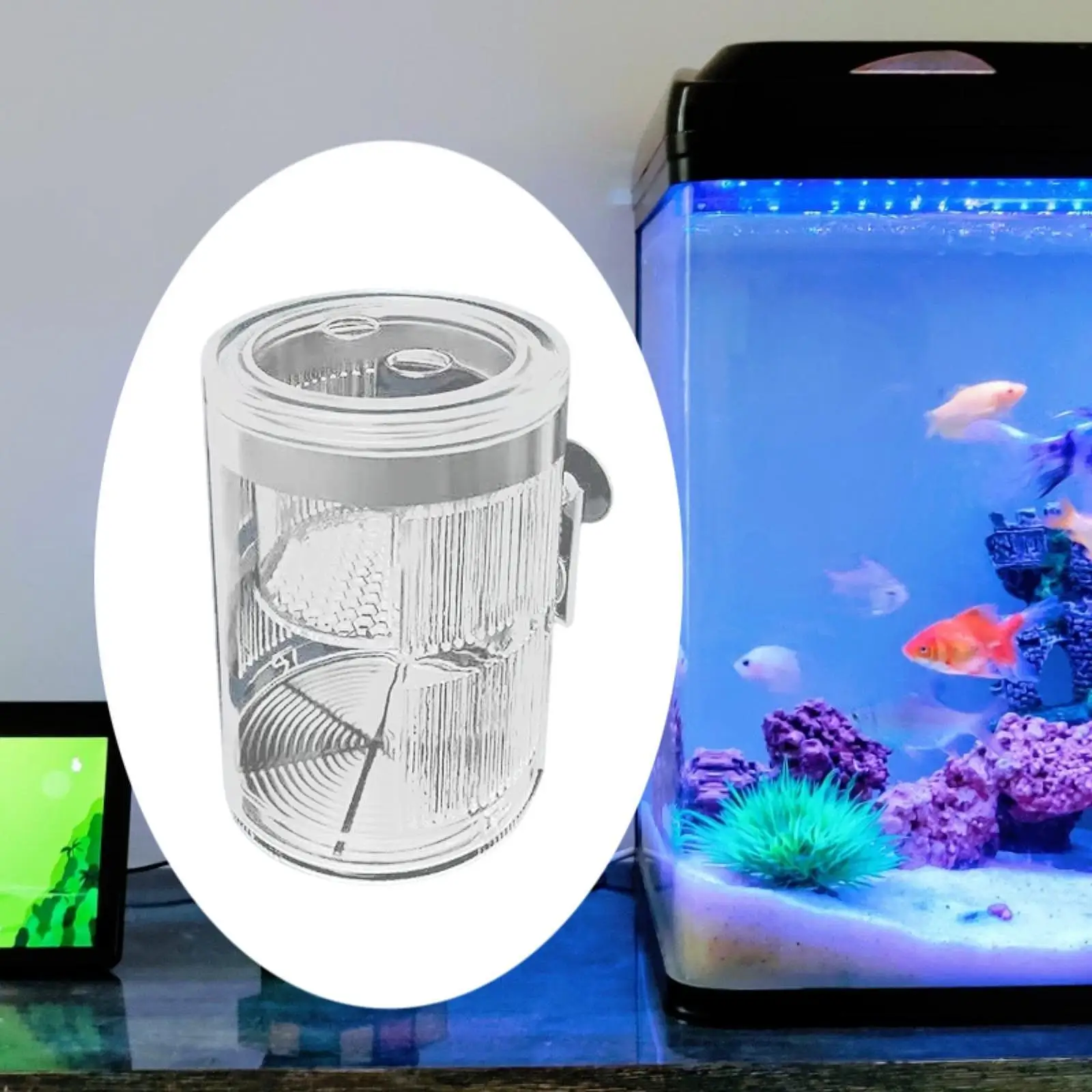 Aquarium Breeder Box Separator Fish Isolation Box for Shrimp Betta Clownfish