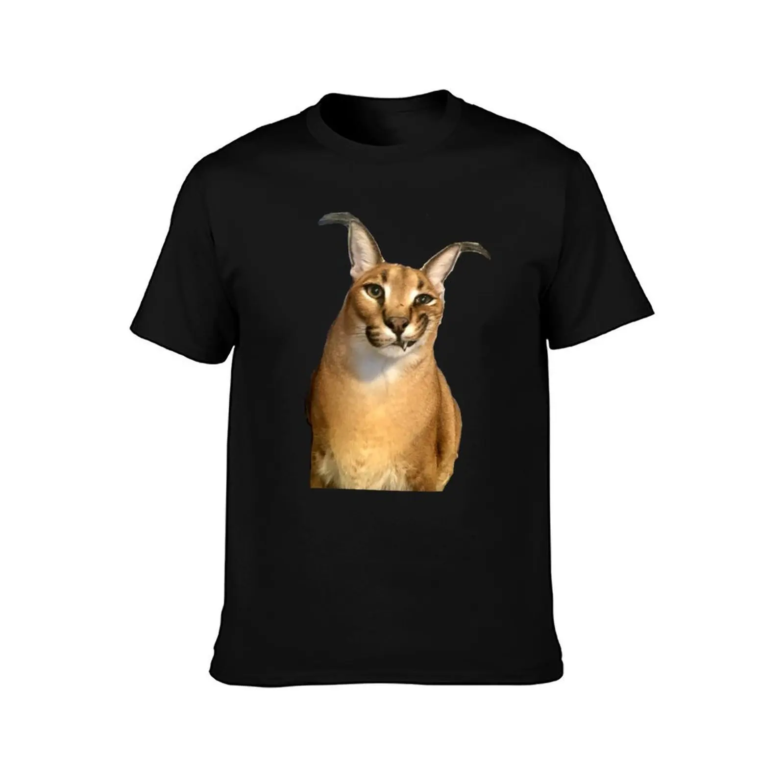 Big Floppa T-Shirt man t shirts for men casual T-Shirt