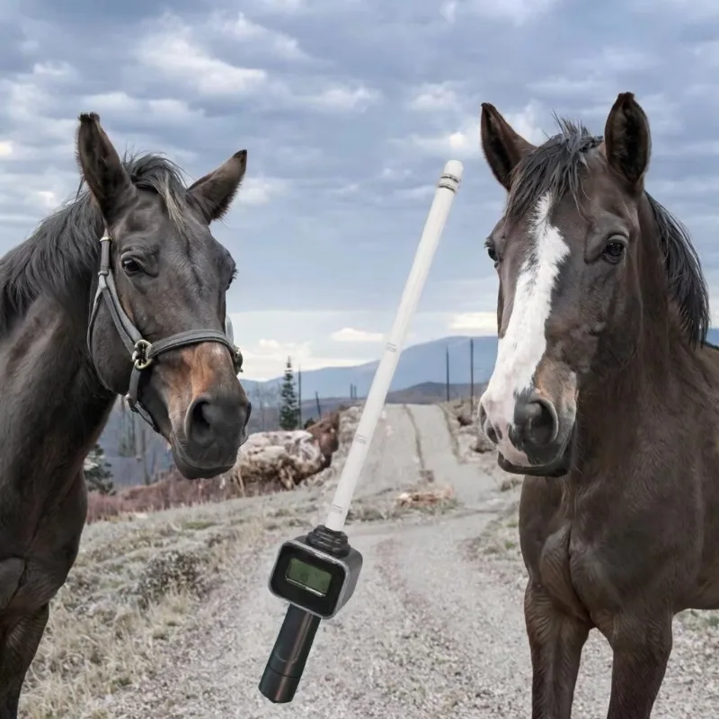 Thermometer for Large Animals Can Be Used To Measure The Body Temperature of Various Animals