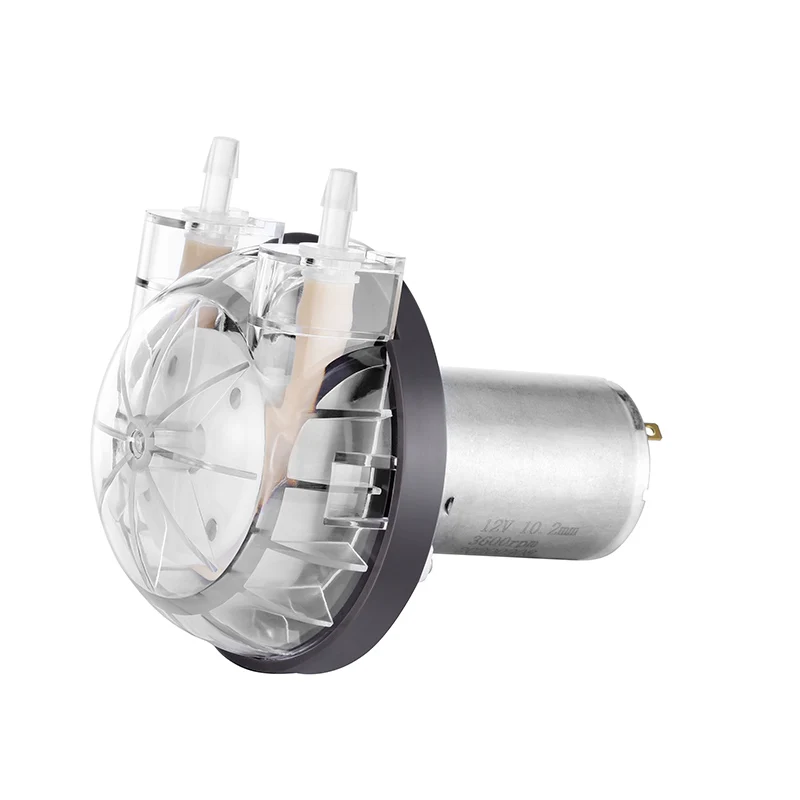 PENGPU 500mLPM 12 فولت 24 فولت مضخة تمعجية صغيرة صغيرة صغيرة أنبوب BPT لمضخات جرعات المياه السائلة من الدرجة الغذائية